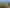 Big Home - Big Land - Development Opportunity