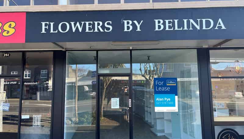 249-255 Oxford Street, Levin