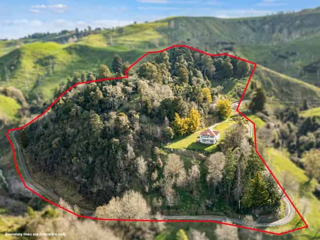 209 Ruanui Road, Taihape