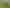 4574 Orchard West Road, Ngatea
