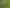 4574 Orchard West Road, Ngatea