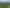 4574 Orchard West Road, Ngatea