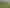 4574 Orchard West Road, Ngatea
