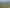 4574 Orchard West Road, Ngatea