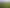 4574 Orchard West Road, Ngatea