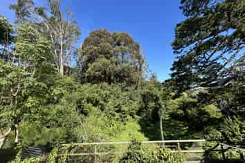 B/3 Coventry Street, Judea