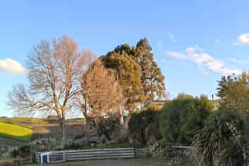 24c Thurso Street, Lawrence