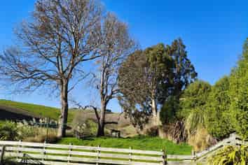 24c Thurso Street, Lawrence