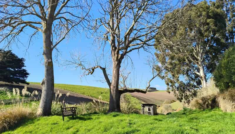 24c Thurso Street, Lawrence