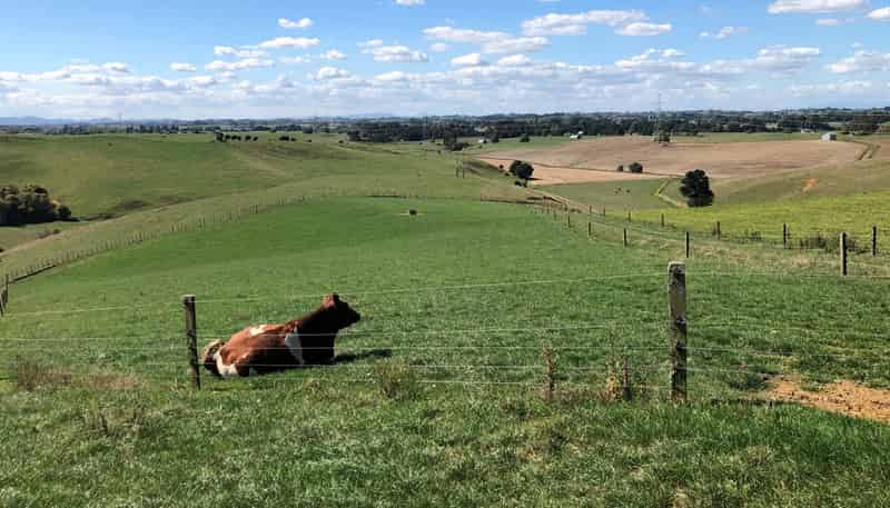 35 Grove Access Road, Te Pahu