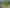 Build-ready site in coastal Orewa
