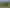 Build-ready site in coastal Orewa