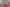 252 Gray Road, Kamo