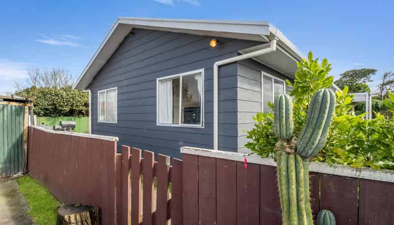 48A Puriri Street, Gonville