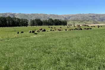 315 and 15 Patearoa Ranfurly Road, Patearoa