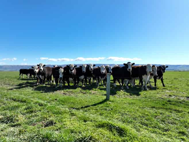 1586 Maniototo Road, Patearoa