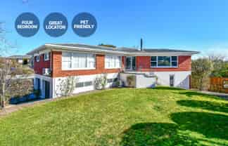 8 Halberg Street, Papakura