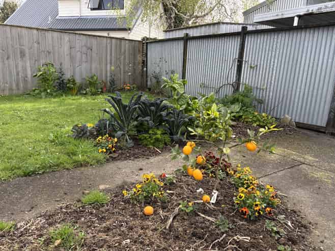 26 Churchill Avenue, Maeroa