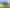Northland - Address withheld