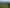 Northland - Address withheld