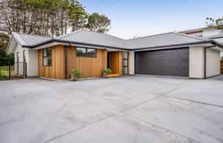 227A Tukapa Street, Westown