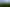  Cranco Forest, Dannevirke