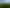  Cranco Forest, Dannevirke