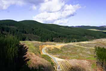  Cranco Forest, Dannevirke
