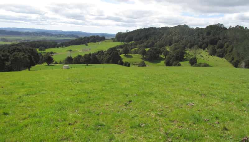  Tremain Road, Ruatangata West
