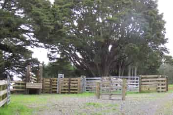  Tremain Road, Ruatangata West