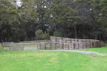  Tremain Road, Ruatangata West