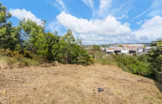 35 Alanbrooke Crescent, Avondale