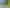161 Everglade Drive, Totara Heights