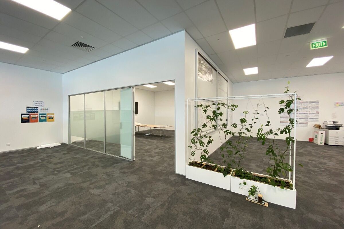 Mezzanine Level Office in Sylvia Park - Vista 5