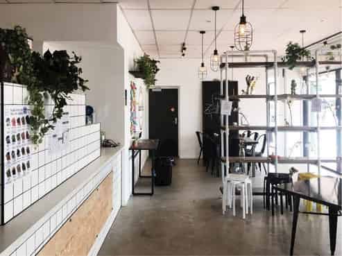 Noah’s Ark Lower Hutt Franchise