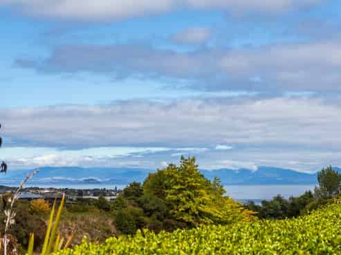 14 Birchwood Lane, Hilltop