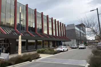 CBD Opportunity
