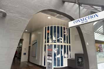 CBD Opportunity