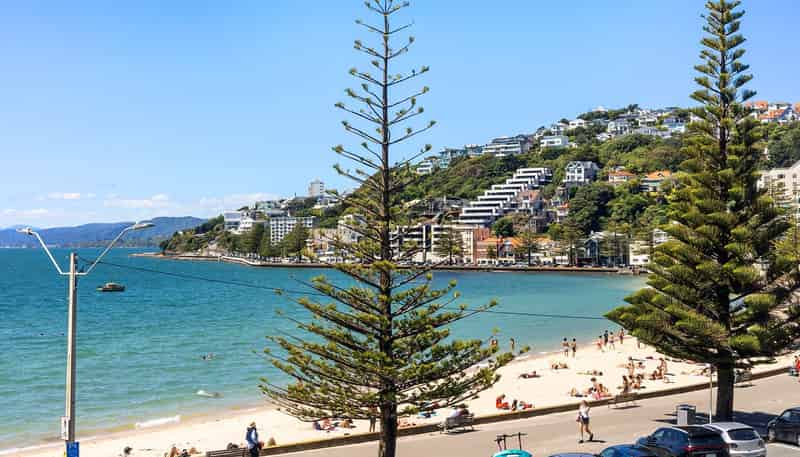 186A Oriental Parade, Oriental Bay