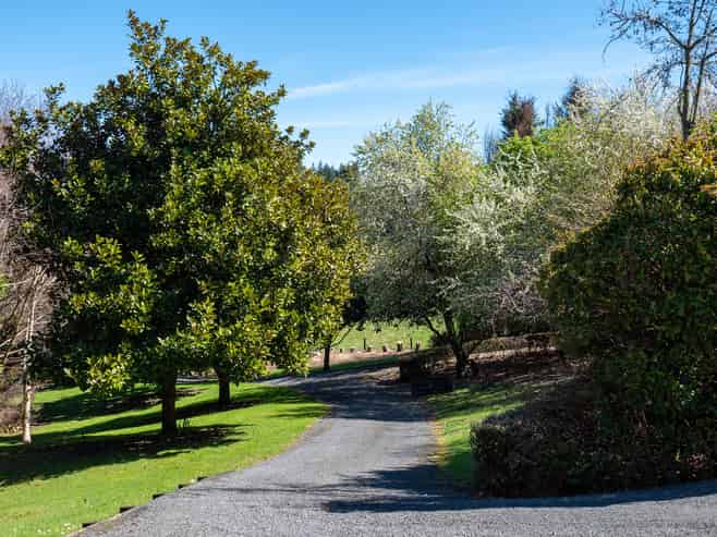 207C State Highway 30, Tikitere