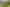 Bay of Plenty - Address withheld
