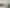 1299 Rings Road, Coromandel