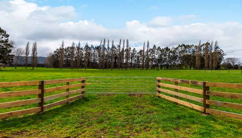 712 Ashpit Road, Rerewhakaaitu