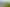 High Quality Four Star Green Facility in Ruakura Superhub 