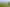 High Quality Four Star Green Facility in Ruakura Superhub 