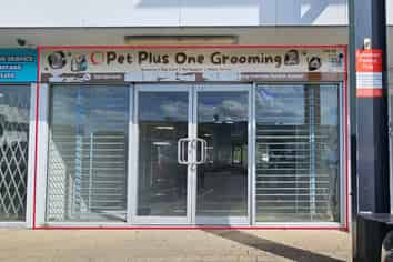 Motivated vendor at Bishop Dunn