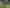 2565 Rings Rd, Coromandel