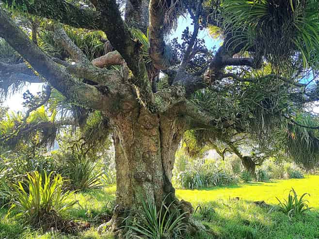 2565 Rings Rd, Coromandel