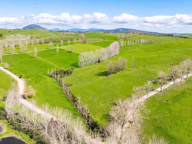 279 Kara Road, Maungatapere