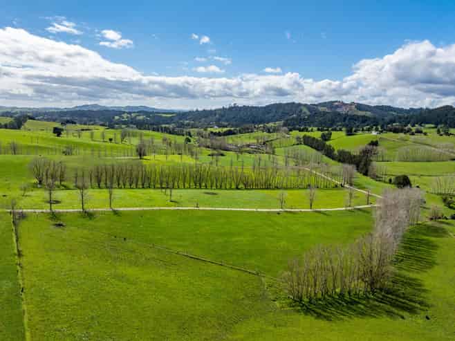 279 Kara Road, Maungatapere